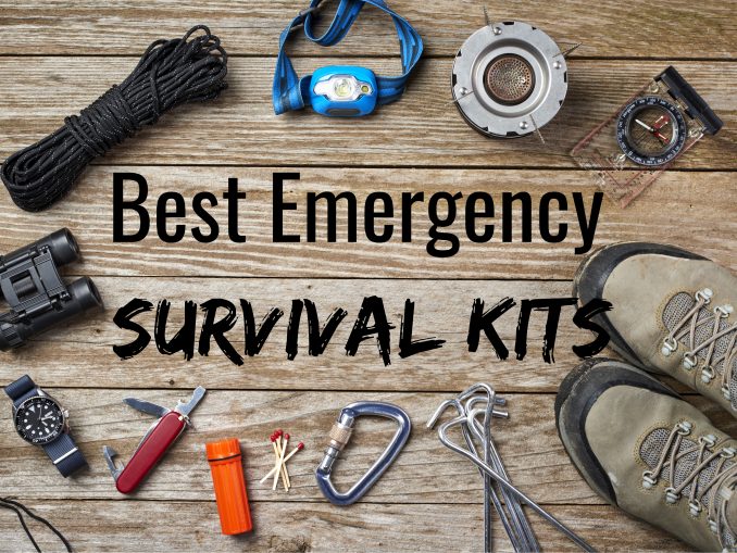 The Ultimate Guide To Raising Goats Goat Raising for Homesteaders