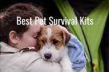 Best Survival Kits for Pets and Pet Survival Kit Reviews