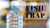 How to Make a Fish Trap