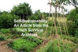 Survival Construction: Earthships, Do-it-Yourself and Self-Sustainability